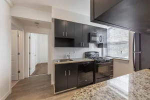 APT A8 - 373 West Lancaster Avenue, Haverford, PA 19041